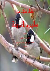 كل شيء عن طيور الزينة