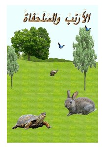 The Tortoise And The Hare