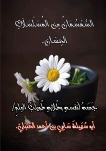 السُّمسُمَانُ من المُسَلْسَلاتِ الحِسَانِ