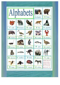 Alphabet