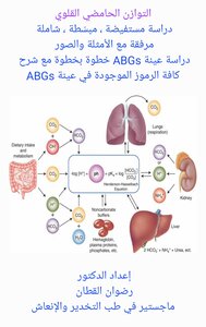 التوازن الحامضي القلوي