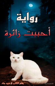 رواية أحببت زائرة