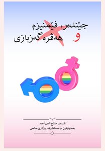 جێندەر، فێمنیزم و هەڤرەگەزبازی