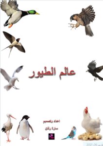 عالم الطيور