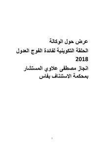 Presentation About The Agency
