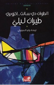 طيران ليلي