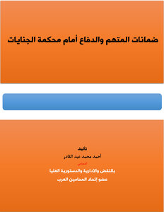 Guarantees Of The Accused And The Defense Before The Criminal Court
