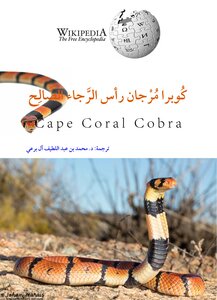Cobra Coral Cape Of Good Hope