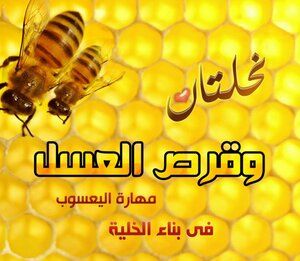 نحلتان وقرص العسل ـ مهارة اليعسوب في بناء الخلية