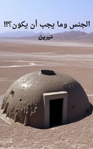 الجنس وما يجب أن يكون؟!!