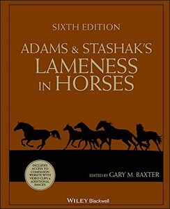 Adams Stashack