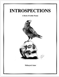 INTROSPECTIONS