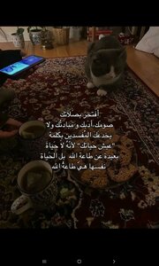 كيف تنجح يا بطيختي
