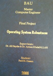 Operating System Robustness