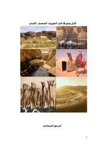Camels And Their Role In The Libyan Folklore