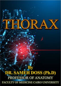 Anatomy camputer out thorax since thoracic تشريح الصدر ل سامح دوز خط كمبيوتر