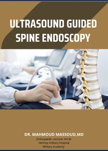 Ultrasound guided spine endoscopy