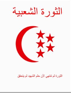الثورة الشعبية : الثورة لم تنتهي لأن حلم الشهيد لم يتحقق