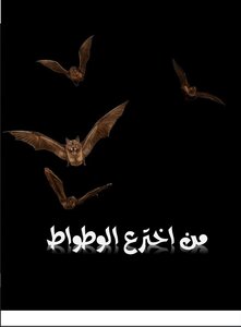 من أخترع الوطواط