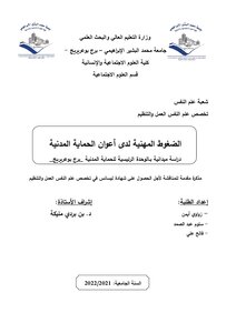 Professional Pressures Among Civil Protection Agents