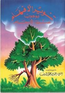 Enlighten Understandings Of The Necessity Of Kinship Ties