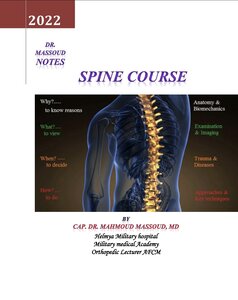 Spine course for beginners