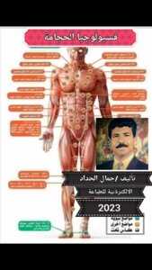 فسيولوجيا الاعضاء اثناء الحجامة
