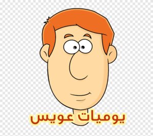 يوميات عويس