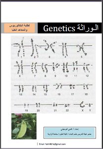 الوراثة