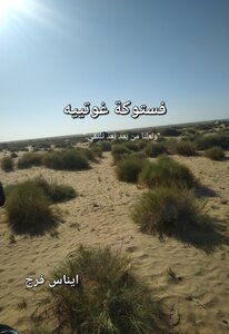 فستوكة غوتييه