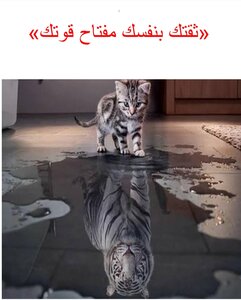 ثقتك بنفسك مفتاح قوتك