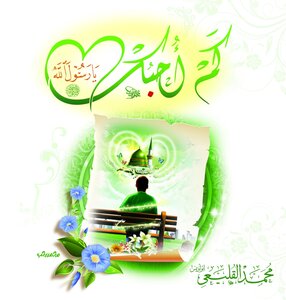 كم أحبك يا رسول الله