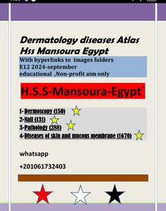 E12  november 2024 DERMATOLOGY diseases atlas  with hyperlink.pdf