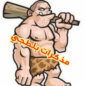 مذكرات بلطجي