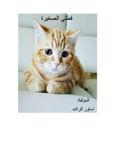 قطتي الصغيرة