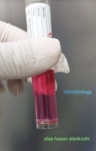 microbiology