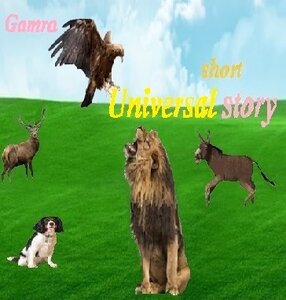 Universal Short Story