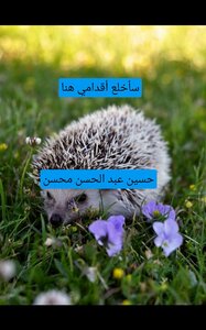 سأخلع أقدامي هنا