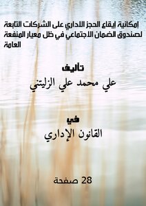 The Possibility Of Inflicting Administrative Seizure On Companies Affiliated With The Social Security Fund Under The Public Benefit Standard
