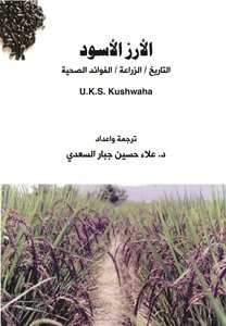الأرز الاسود ... تاريخ/زراعة/فوائد صحية
