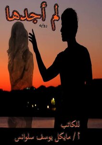 Novel I Did Not Find