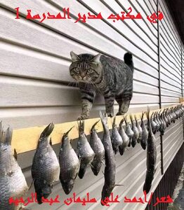 في مكتب مدير المدرسة 1!
