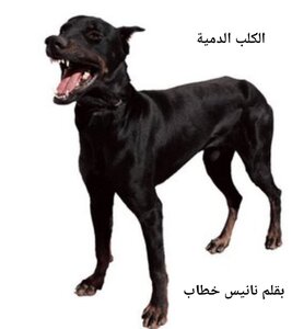 قصة الكلب الدمية