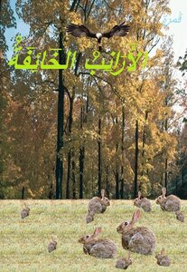 الأرانب الخائفة