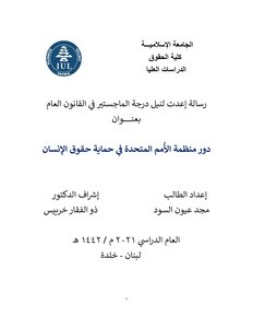 دور منظمة الأمم المتحدة في حماية حقوق الإنسان