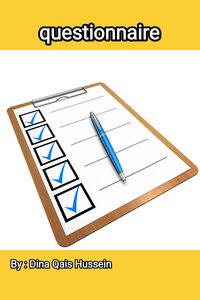 Questionnaire