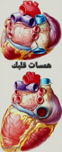 همسات قلبك