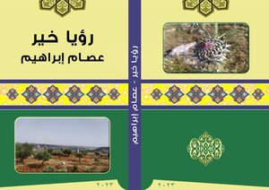 رؤيا خير