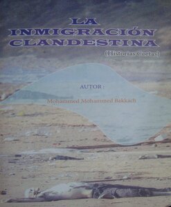 La Inmigración Clandestina (Historias Cortas)