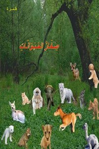 Baby Animals
